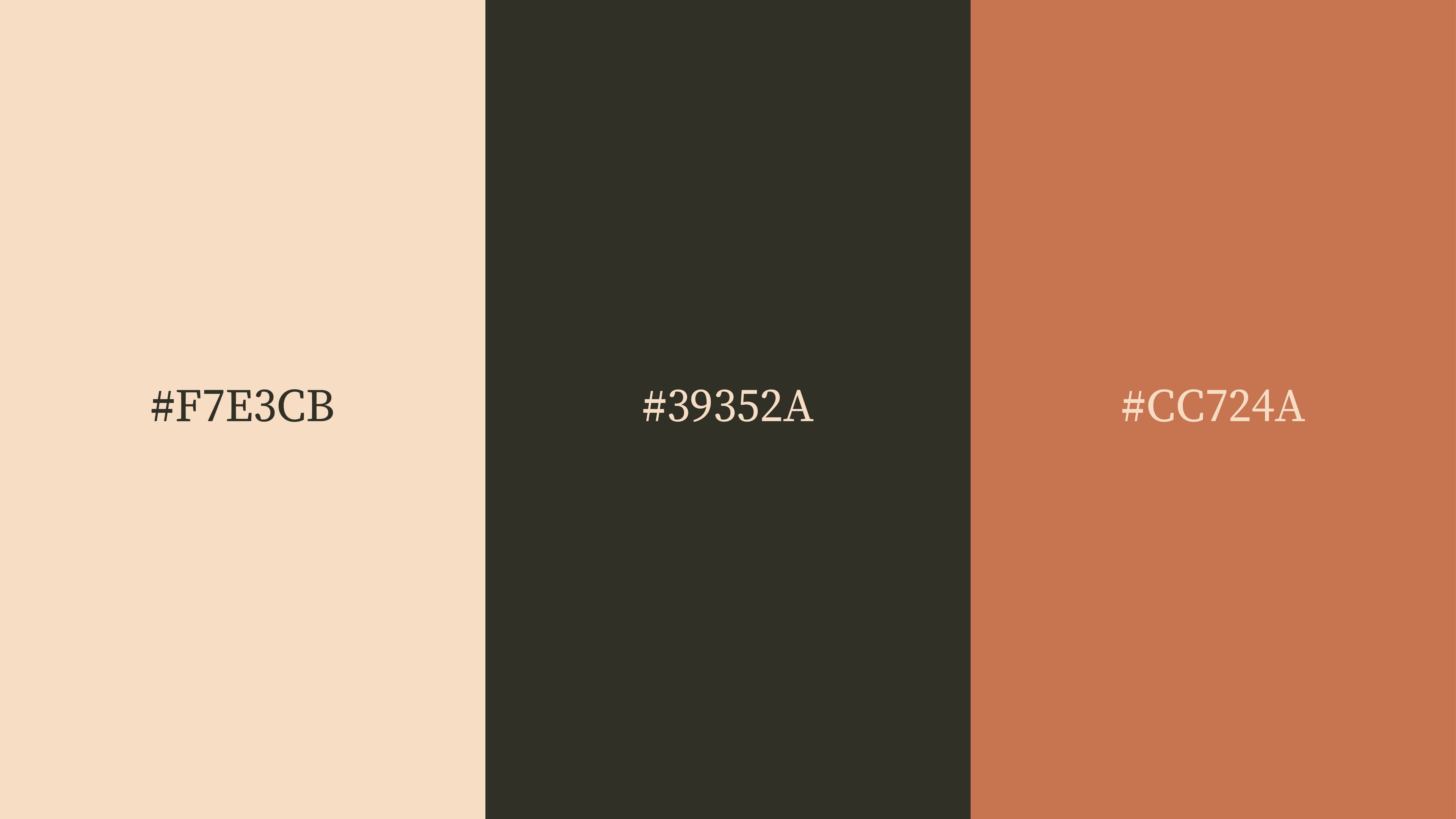Bean + Spice — image 6