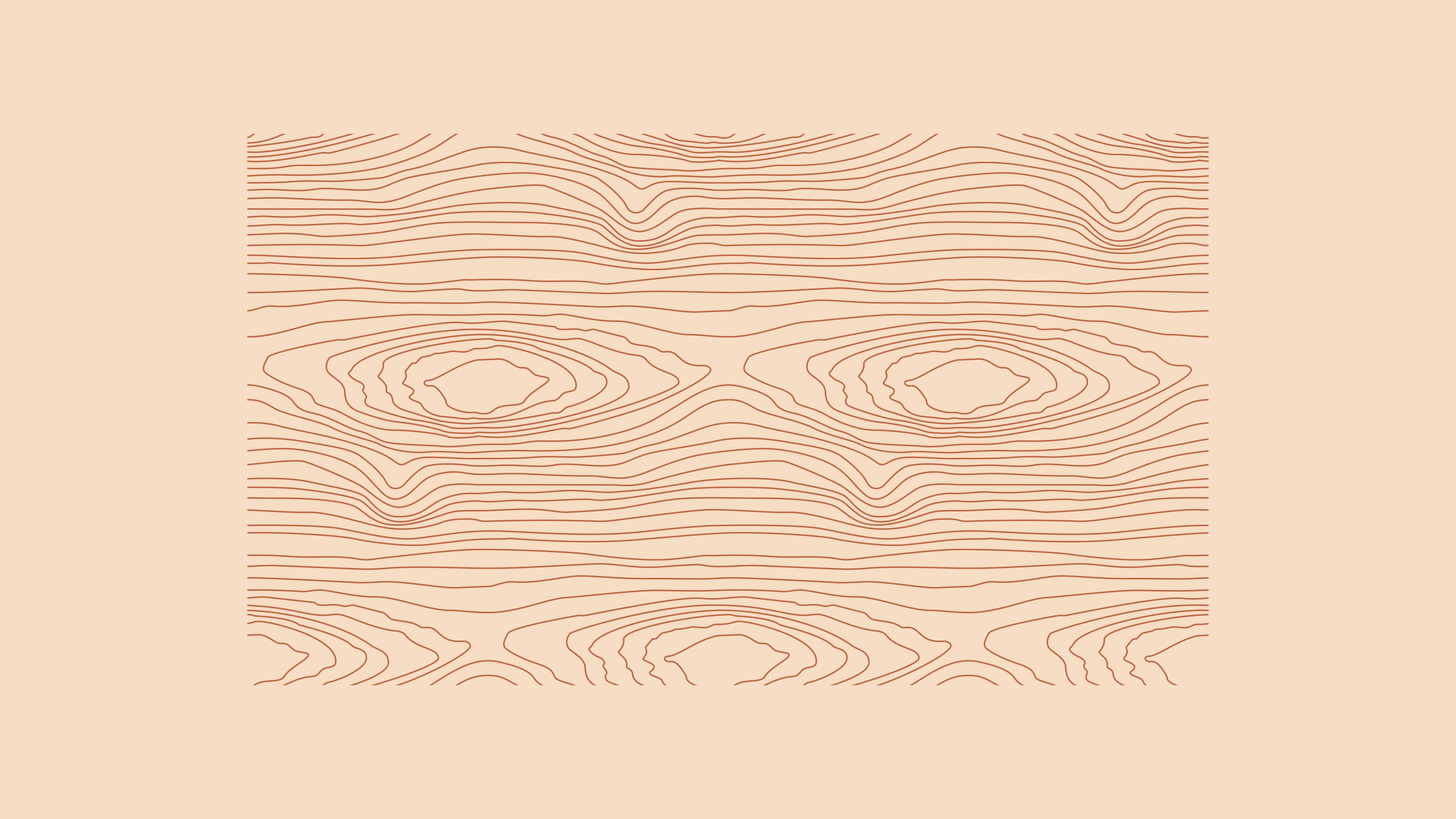 Bean + Spice — image 8