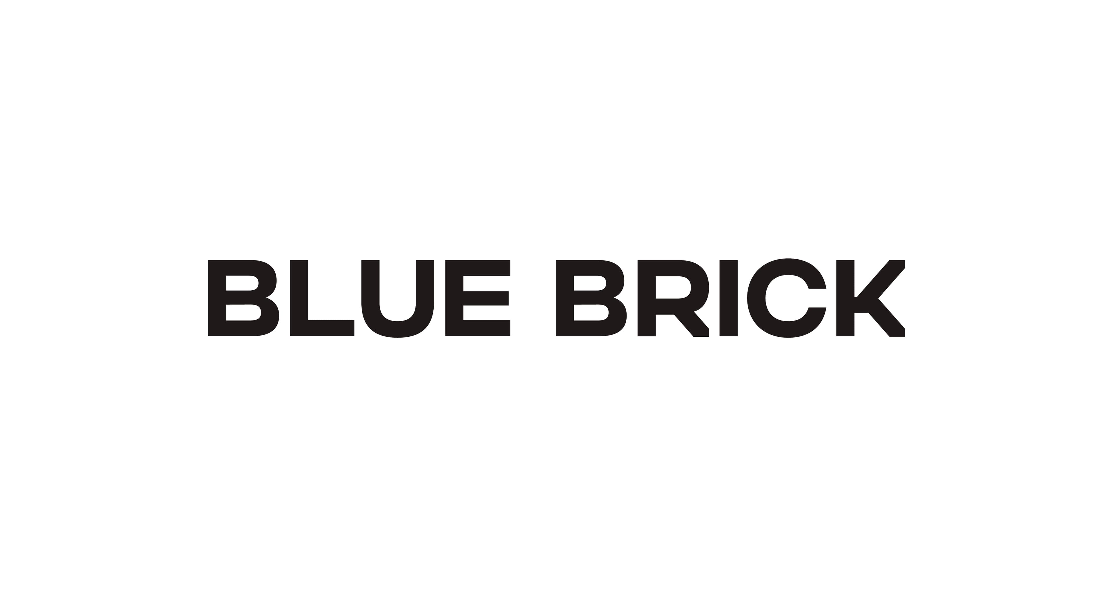 Blue Brick — image 4