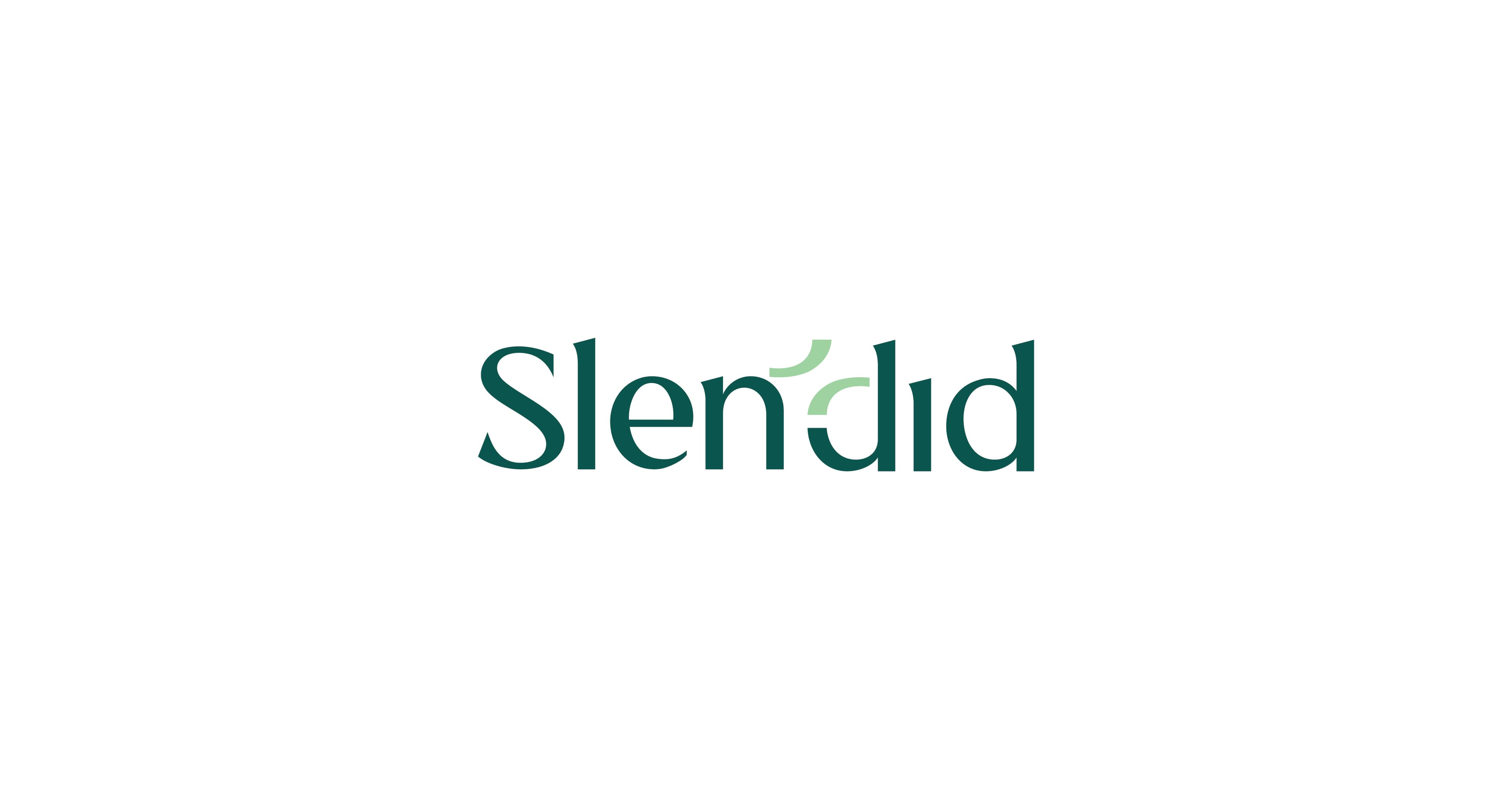 Slendid — image 4