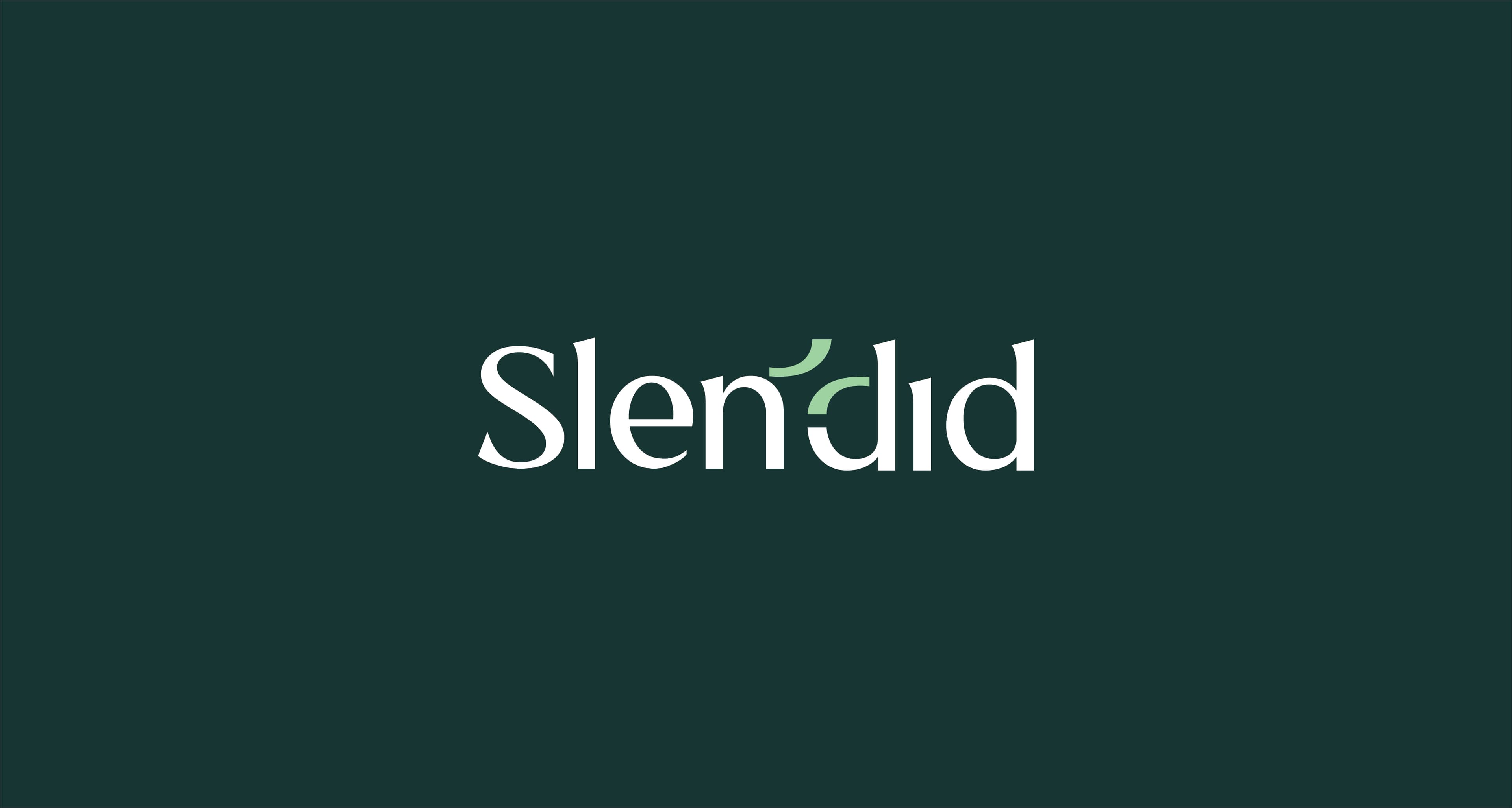 Slendid — image 5