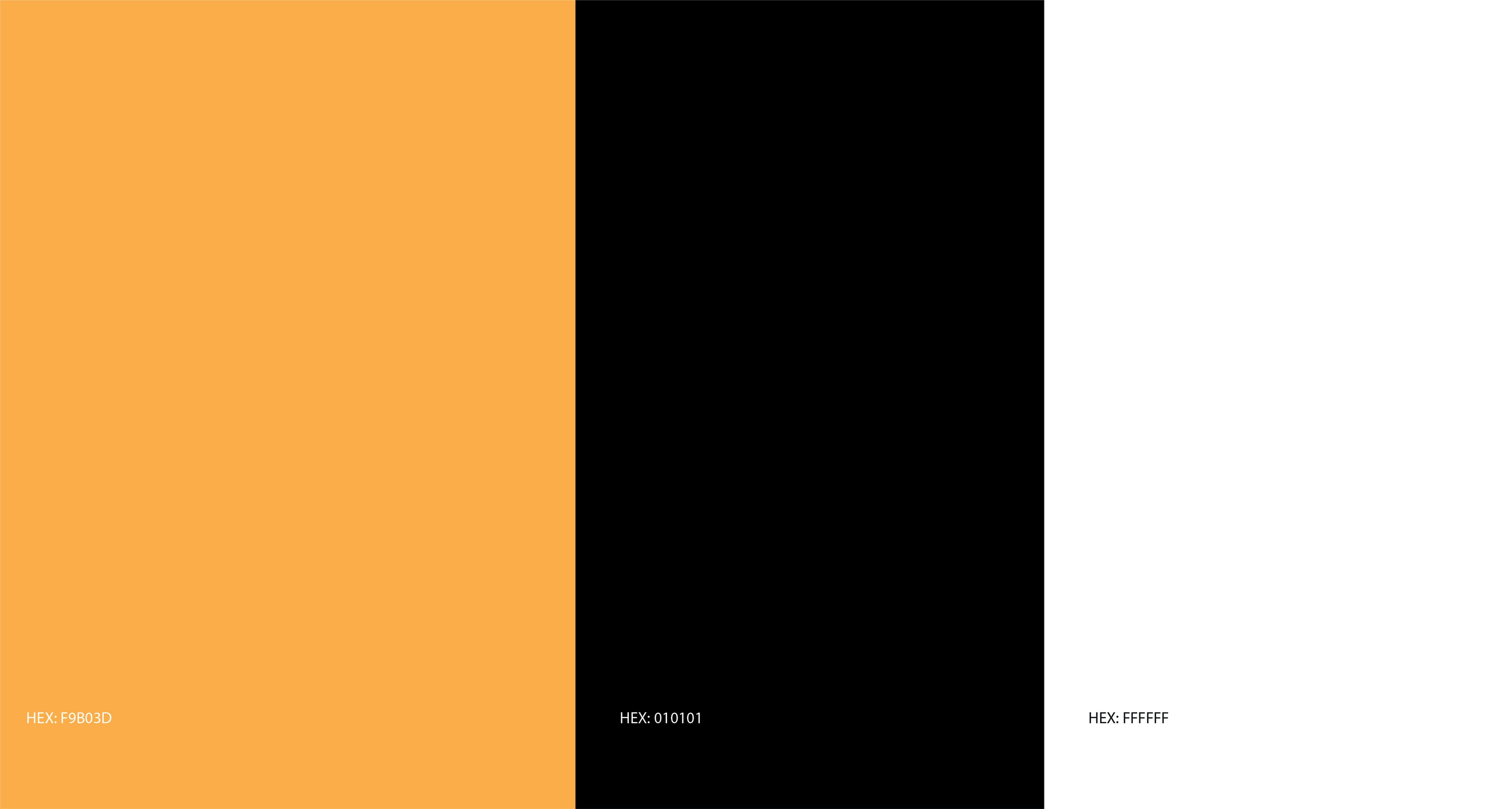 Food Pyramid — image 5